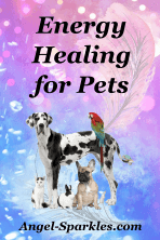 Energy Healing for Pets